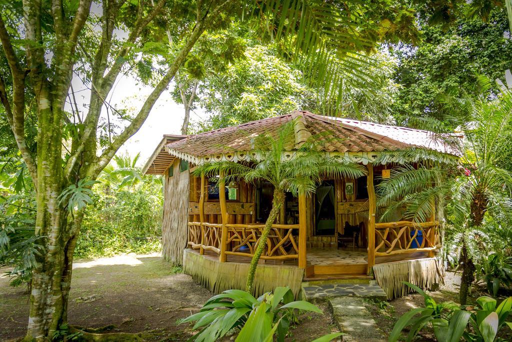 Hotel La Costa De Papito Puerto Viejo de Talamanca Zimmer foto
